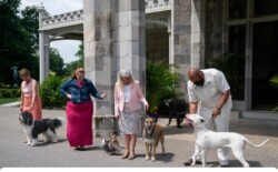 Four people stand outside a stone building, each with a dog on a leash, engaging with the dogs in a casual manner.