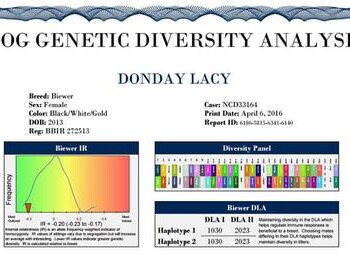 Dog Genetic Diversity Analysis report for a Biewer named DonDay Lacy. Included are details on breed, sex, DOB, and genetic diversity data.
