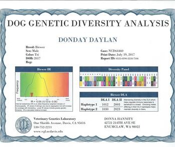 Genetic diversity analysis report for a male dog named Donday Daylan, including graphs and contact details for Veterinary Genetic Laboratory.