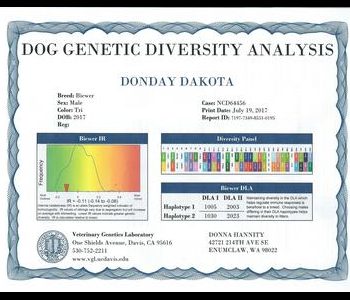 Dog genetic diversity analysis report for Donday Dakota includes breed, sex, color, birth date, genetic markers, and analysis results.