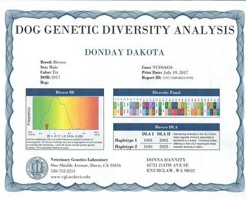 Dog genetic diversity analysis report for Donday Dakota includes breed, sex, color, birth date, genetic markers, and analysis results.