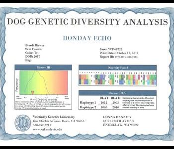 Certificate showing genetic diversity analysis for a Biewer dog named Donday Echo, including graphs, haplotypes, and contact details.