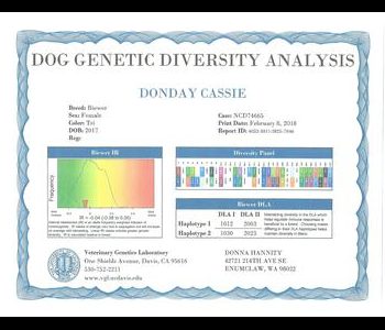 A dog genetic diversity analysis report for "Donnay Cassie," showing breed details, heterozygosity, and haplotypes from a veterinary lab.