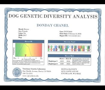 A certificate displaying the dog genetic diversity analysis for "Donday Chanel" with various genetic information and contact details.