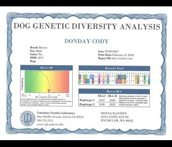 A dog genetic diversity analysis report showing breed info, case number, genetic diversity panel, and haplotype information.