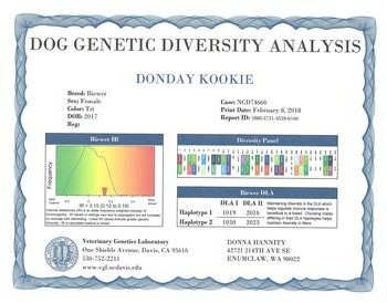 A "Dog Genetic Diversity Analysis" certificate for a dog named "Donday Kookie" shows genetic information and lab contact details.