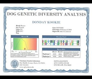 A "Dog Genetic Diversity Analysis" certificate for a dog named "Donday Kookie" shows genetic information and lab contact details.