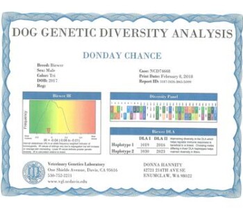 Image of a "Dog Genetic Diversity Analysis" report with data on dog breed, sex, genetic diversity, and laboratory details.