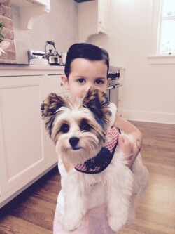 A child holding a small, fluffy dog in a kitchen with white cabinets and wooden floors.
