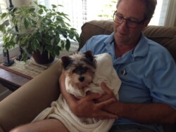A man with glasses sits on a couch holding a small dog wrapped in a towel, next to a potted plant and a cordless phone.